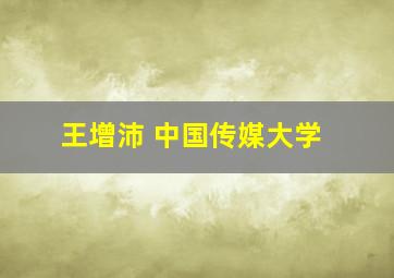 王增沛 中国传媒大学